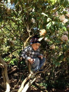 Reuben-in-Tree-e1458151463903